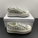 Dior Walk'n'Dior