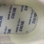 Dior Tears B33 Low Top - Image 15