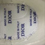 Dior Walk'n'Dior - Image 12