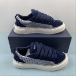 Dior B33