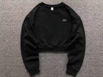 Alo Yoga Accolade Cropped Crewneck