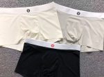 Lulumelon Underwear - Image 6