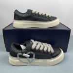 Dior B33