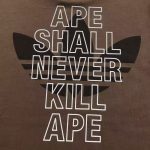 A Bathing Ape brown adidas Originals x Bape SSL Tee - Image 16